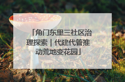 角门东里三社区治理探索｜代建代管推动荒地变花园