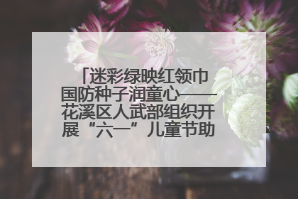 迷彩绿映红领巾 国防种子润童心——花溪区人武部组织开展“六一”儿童节助学兴教活动