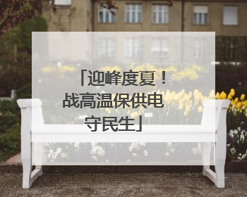 迎峰度夏！战高温保供电守民生