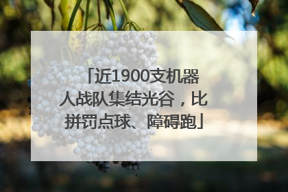 近1900支机器人战队集结光谷，比拼罚点球、障碍跑