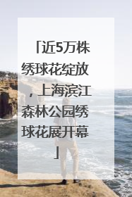 近5万株绣球花绽放，上海滨江森林公园绣球花展开幕