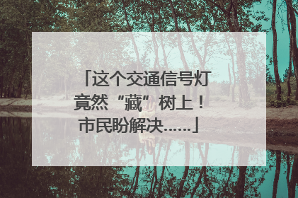 这个交通信号灯竟然“藏”树上！市民盼解决……