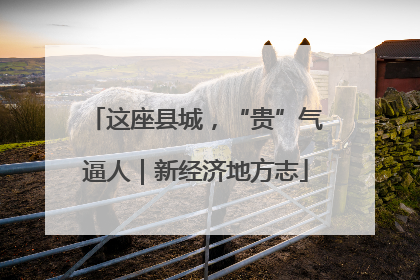 这座县城，“贵”气逼人｜新经济地方志