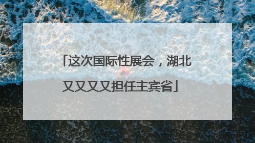 这次国际性展会，湖北又又又又担任主宾省