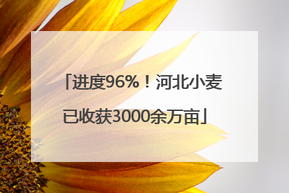 进度96%！河北小麦已收获3000余万亩
