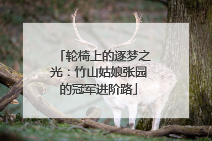 轮椅上的逐梦之光：竹山姑娘张园的冠军进阶路