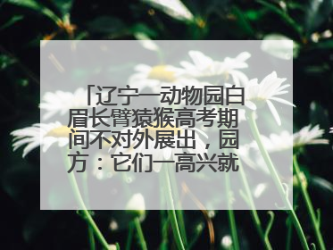辽宁一动物园白眉长臂猿猴高考期间不对外展出，园方：它们一高兴就喜欢鸣叫，怕影响考试