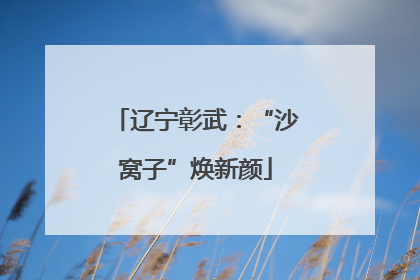 辽宁彰武：“沙窝子”焕新颜