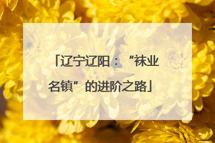 辽宁辽阳：“袜业名镇”的进阶之路