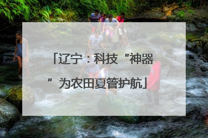 辽宁：科技“神器”为农田夏管护航