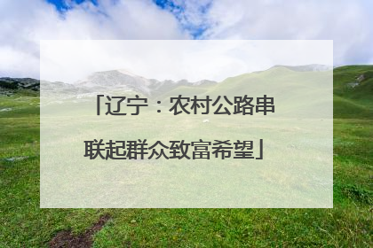 辽宁：农村公路串联起群众致富希望