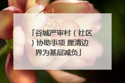 谷城严审村（社区）协助事项 厘清边界为基层减负