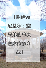 谢伊vs尼基尔：堂兄弟的总决赛席位争夺战