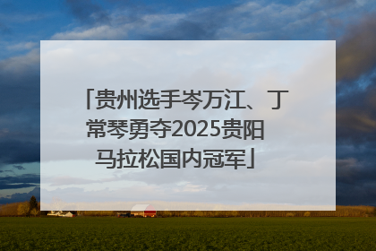 贵州选手岑万江、丁常琴勇夺2025贵阳马拉松国内冠军