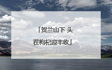 贺兰山下 头茬枸杞迎丰收