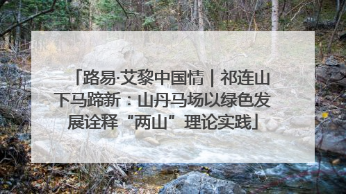 路易·艾黎中国情｜祁连山下马蹄新：山丹马场以绿色发展诠释“两山”理论实践