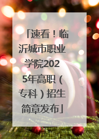 速看！临沂城市职业学院2025年高职（专科）招生简章发布