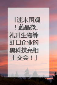速来围观！蓝晶微、礼升生物等虹口企业的黑科技亮相上交会！