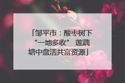 邹平市：酸枣树下“一地多收” 莲藕塘中盘活共富资源