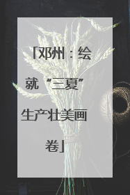 邓州：绘就“三夏”生产壮美画卷