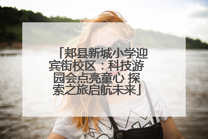 郏县新城小学迎宾街校区：科技游园会点亮童心 探索之旅启航未来