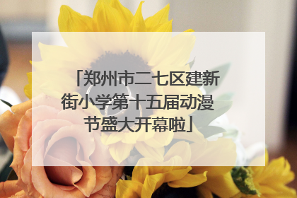 郑州市二七区建新街小学第十五届动漫节盛大开幕啦