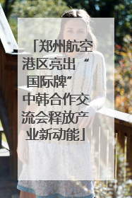 郑州航空港区亮出“国际牌” 中韩合作交流会释放产业新动能