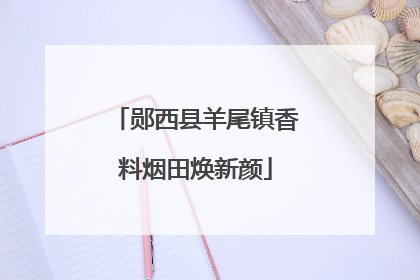 郧西县羊尾镇香料烟田焕新颜