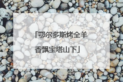 鄂尔多斯烤全羊香飘宝塔山下