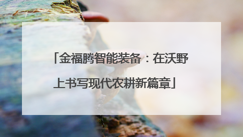 金福腾智能装备：在沃野上书写现代农耕新篇章
