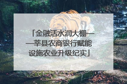 金融活水润大棚——莘县农商银行赋能设施农业升级纪实