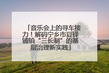 音乐会上的寻车接力！解码宁乡市夏铎铺镇“三长制”的基层治理新实践