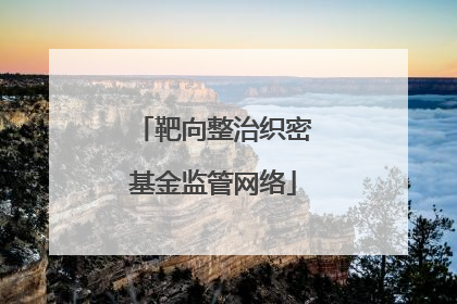 靶向整治织密基金监管网络