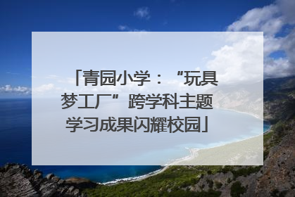 青园小学：“玩具梦工厂”跨学科主题学习成果闪耀校园