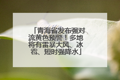 青海省发布强对流黄色预警！多地将有雷暴大风、冰雹、短时强降水