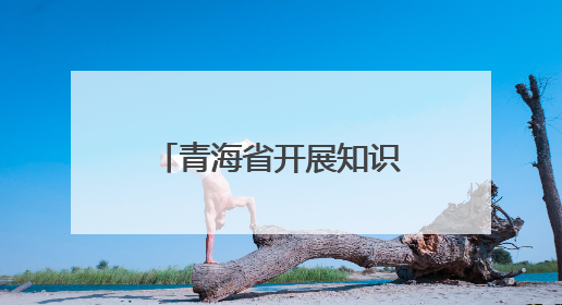 青海省开展知识产权“五个一”三年攻坚行动