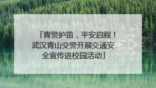 青警护苗，平安启程！武汉青山交警开展交通安全宣传进校园活动