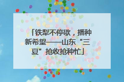 铁犁不停歇，播种新希望——山东“三夏”抢收抢种忙