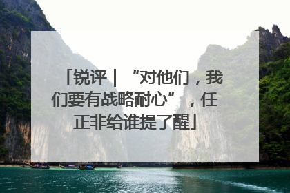 锐评｜“对他们，我们要有战略耐心”，任正非给谁提了醒