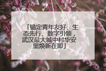 锚定青年友好、生态先行、数字引领，武汉最大城中村华安里焕新在即