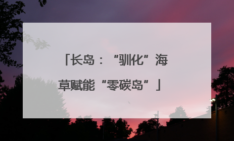 长岛：“驯化”海草赋能“零碳岛”