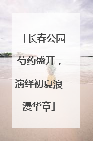长春公园芍药盛开，演绎初夏浪漫华章
