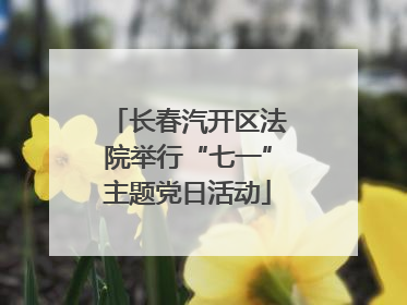 长春汽开区法院举行“七一”主题党日活动