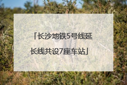 长沙地铁5号线延长线共设7座车站