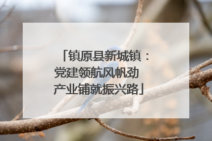 镇原县新城镇：党建领航风帆劲 产业铺就振兴路