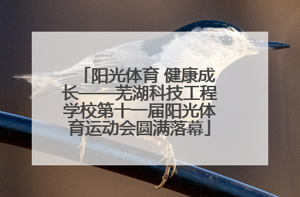 阳光体育 健康成长——芜湖科技工程学校第十一届阳光体育运动会圆满落幕