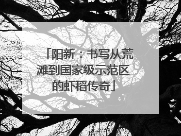 阳新：书写从荒滩到国家级示范区的虾稻传奇