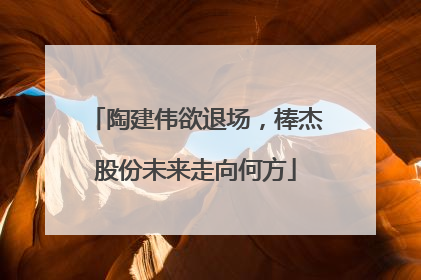 陶建伟欲退场，棒杰股份未来走向何方