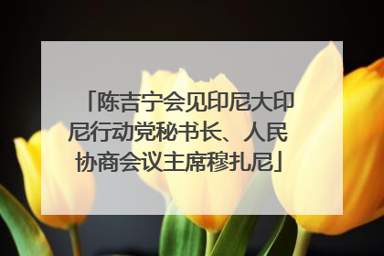 陈吉宁会见印尼大印尼行动党秘书长、人民协商会议主席穆扎尼