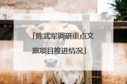 陈武军调研重点文旅项目推进情况